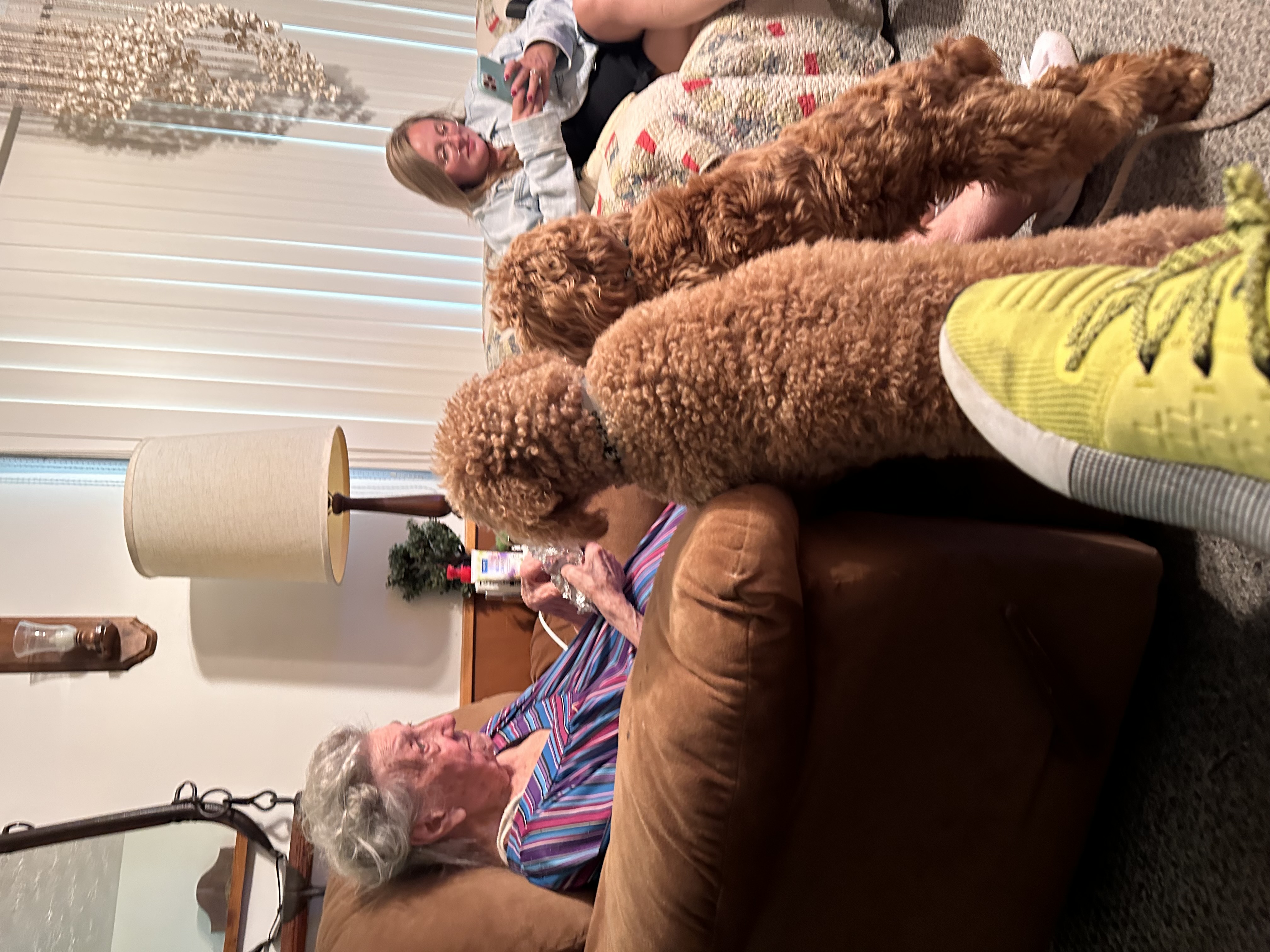 Additional Stella family image